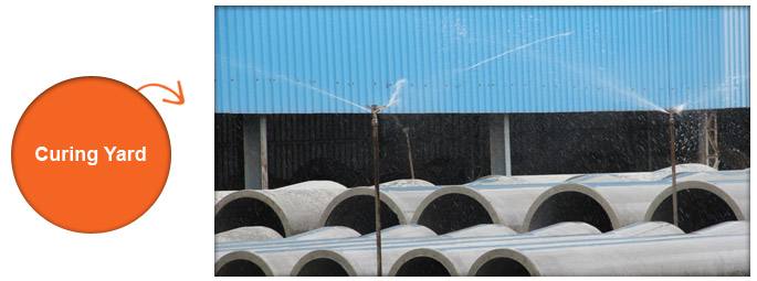curing yard